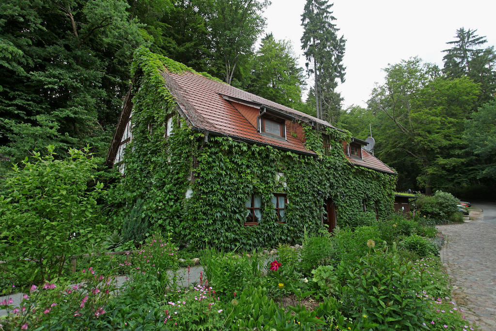 Hotel Boltenmuehle Guhlen Glienicke الغرفة الصورة