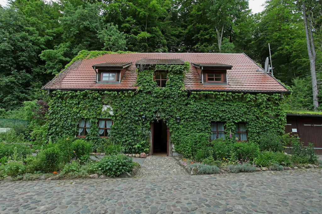 Hotel Boltenmuehle Guhlen Glienicke الغرفة الصورة